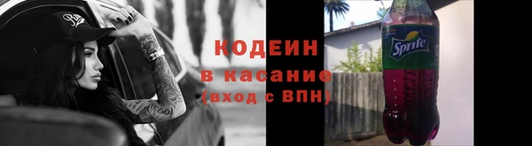 метадон Богданович