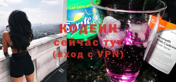метадон Богданович