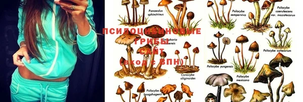 марихуана Богородицк