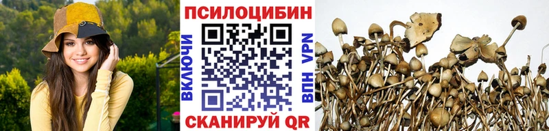 Псилоцибиновые грибы прущие грибы  Валдай 